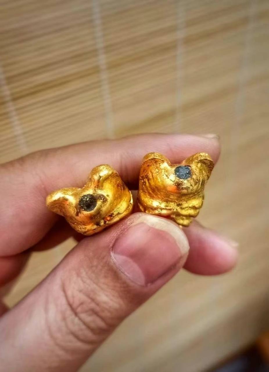 明康灣 金蒼蠅 金虎神 #眾人焦點 #巨星必備 #流量密碼