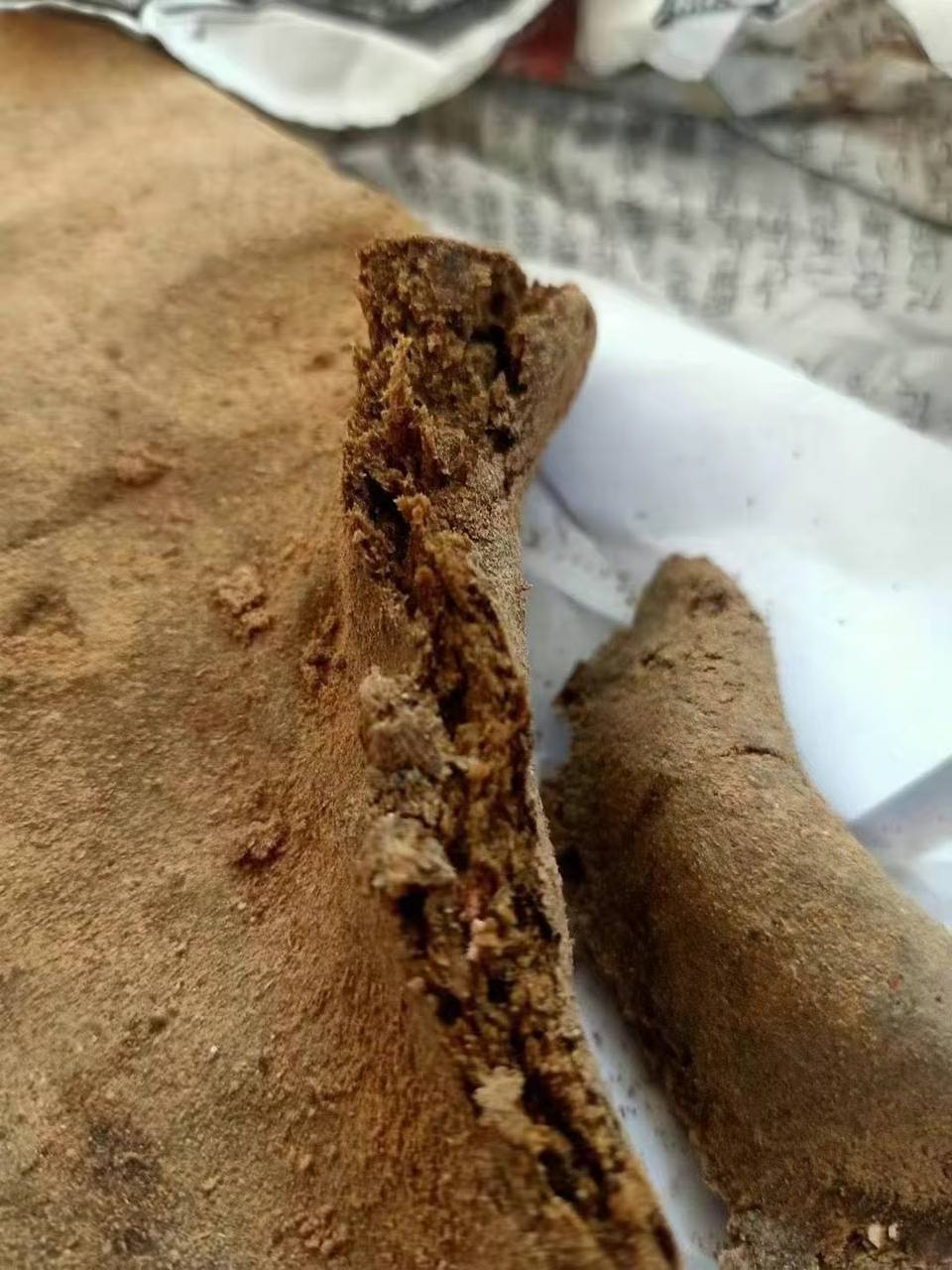 明康灣 金蒼蠅 金虎神 #眾人焦點 #巨星必備 #流量密碼
