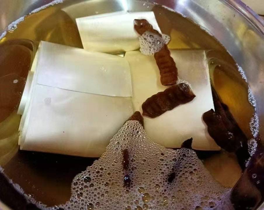 明康灣 金蒼蠅 金虎神 #眾人焦點 #巨星必備 #流量密碼