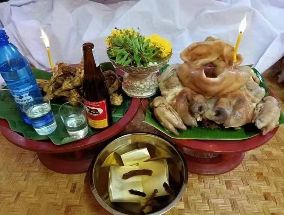 明康灣 金蒼蠅 金虎神 #眾人焦點 #巨星必備 #流量密碼