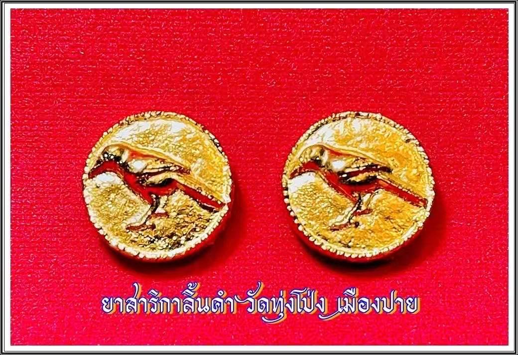 古巴api哇 金舌鳥法藥 #智慧 #財富