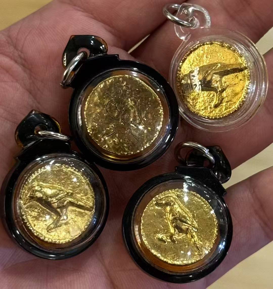 古巴api哇 金舌鳥法藥 #智慧 #財富